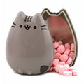 Pusheen Cat Tin